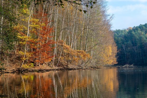 Autumn lake, Czech Republic