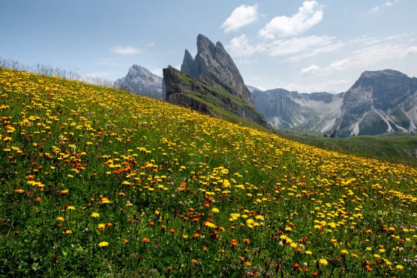 Seceda, Italy