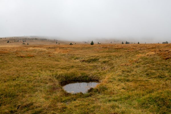 Krkonoše, Czech Republic