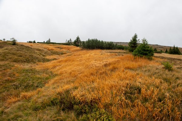 Krkonoše, Czech Republic