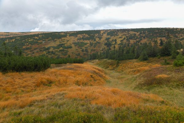 Krkonoše, Czech Republic