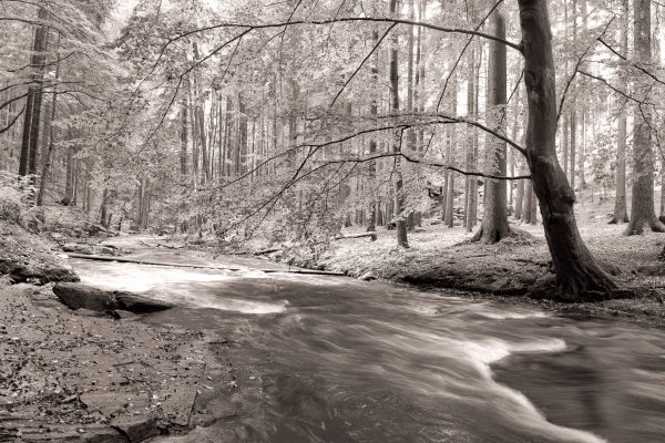 River flow